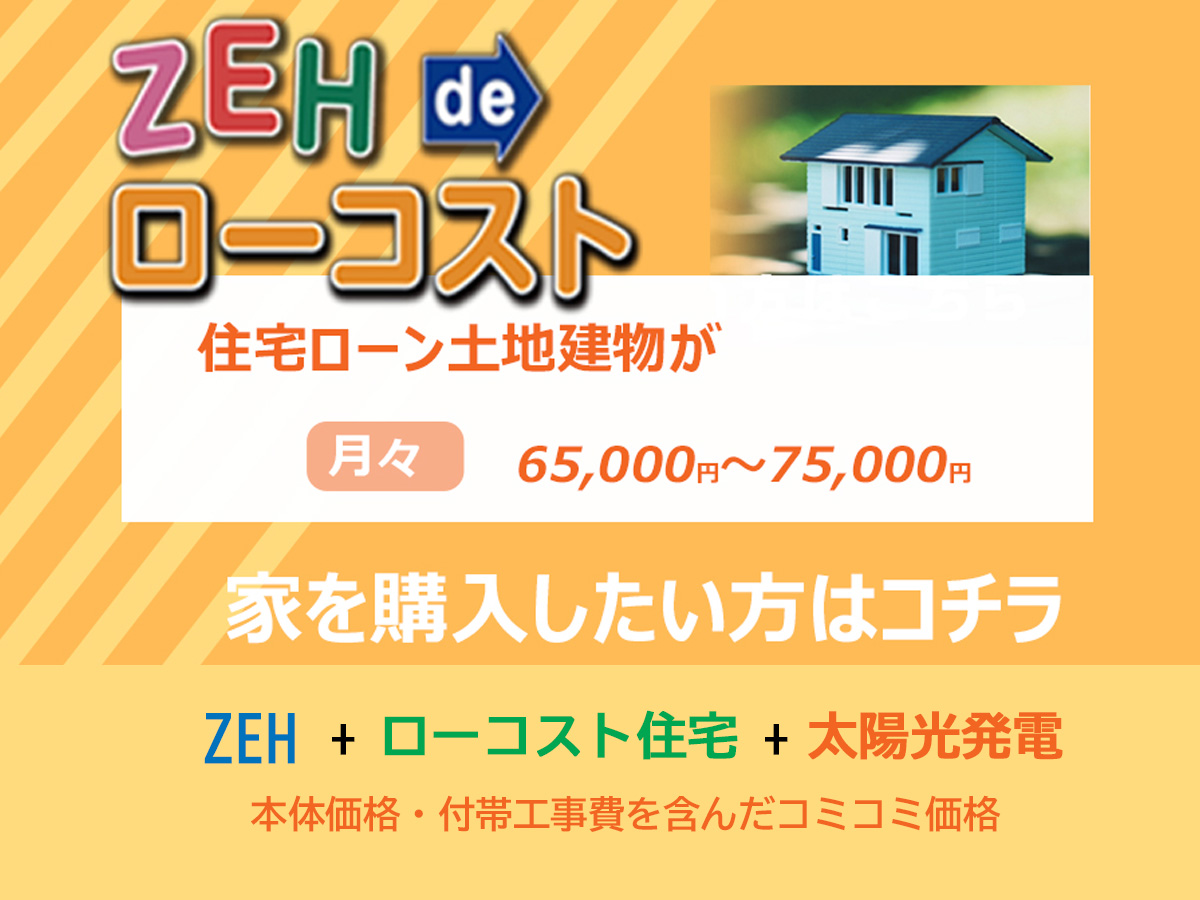 ZEHdeローコスト